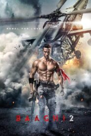 Baaghi 2 (2018) Hindi HD