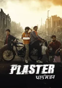 Plaster (2024) Punjabi Season 1 Complete