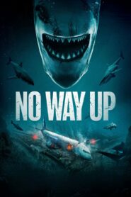 No Way Up (2024) Hindi Dubbed