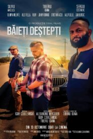 Baieti Destepti (2023) Hindi Dubbed