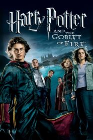 Harry Potter and the Goblet of Fire 4 (2005) Hindi Dubbed